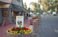 Great Landscaping