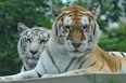 Dakota Zoo Photo