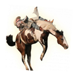 Mandan Rodeo Days - (July 2, 3, & 4, 2012) Photo