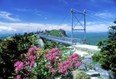 Grandfather Mountain Photo