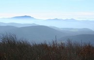 Elk Knob State Park