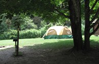 Shade on large tent site