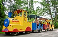 Take a ride on the Royal Express