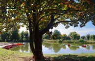 Fishing & Boating