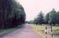 Front Drive