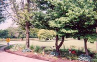 View in front of store