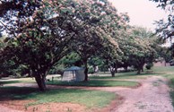 Tent Sites