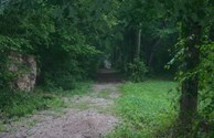Nature Trail