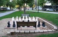 Chess Anyone?