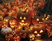 Pumpkin Festival Photo