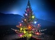 Christmas in.....August? Photo
