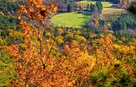 Pasture in Autumn from Nearby Black Mountain