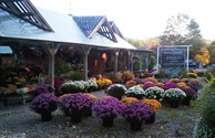 Organic Farm Stand Next Door