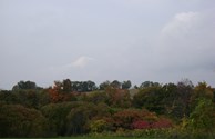 Beautiful T ime of Year