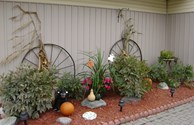 Fall Fun