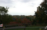 Fall View from the Dog Park