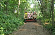 Wagon Rides