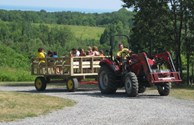 Wagon Ride with a View