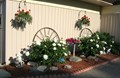 Flowers in Bloom