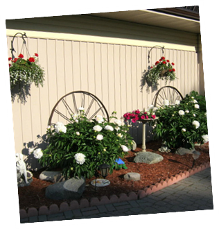 Flowers in Bloom