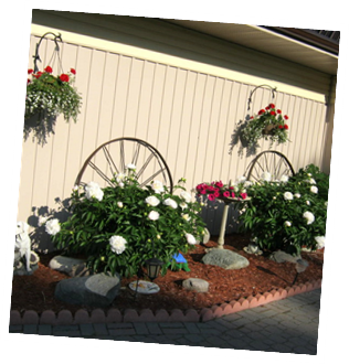 Flowers in Bloom