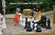 Having Fun with the Giant Chess Set