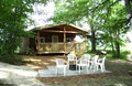 Cabin in  The Woods