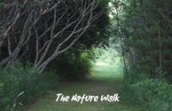 Nature Trail