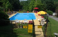 The Swimming Pool