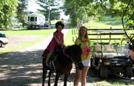 pony rides