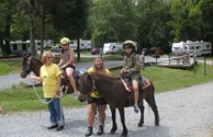 Pony Rides