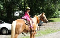 pony rides