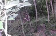 hiking trails