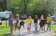 PONY RIDES