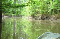 Enjoy Fishing and Boating