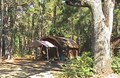 Cabin in the Woods!