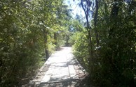 Wooden BridgeTrails Across Mill Creek