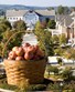 Longaberger Homestead Photo