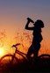 Bicycle Paths Photo