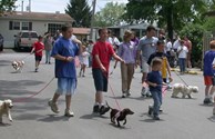 Memorial Day Dog Parade