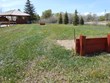 Horseshoes Photo