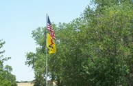 Flag Flying High