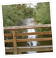 Friday Creek Photo