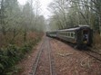 Lake Whatcom Railway Photo