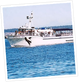 Mystic Sea Charters Photo
