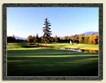 Golf Photo
