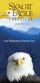 Upper Skagit Bald Eagle Festival - January Photo