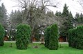 Tent Sites