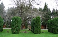 Tent Sites
