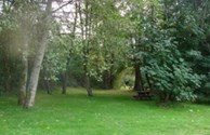 Large Fields to Play Games